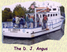 D. J. Angus